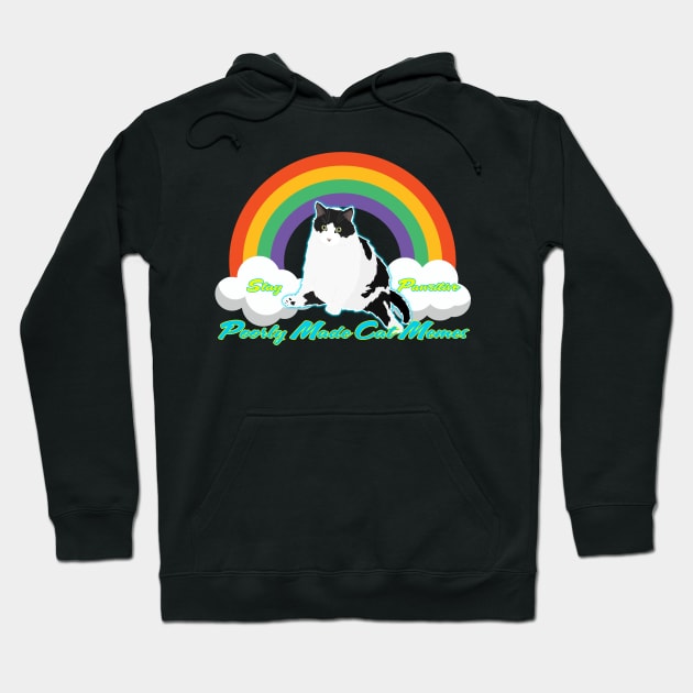 Colonel - Stay Pawsitive Hoodie by Poorly Made Cat Memes